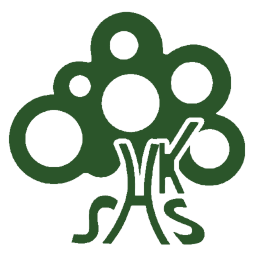 Society of Hong Kong Scholars